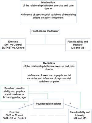 Psychosocial Moderators and Mediators of Sensorimotor Exercise in Low Back Pain: A Randomized Multicenter Controlled Trial